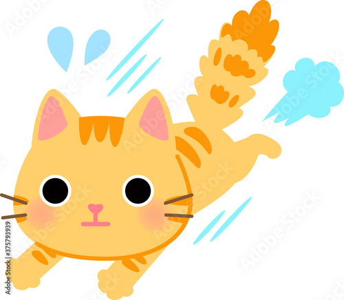 尻尾を膨らませて走るトラ猫