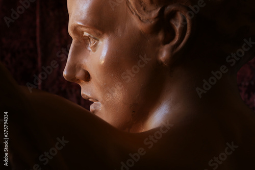 Принти на полотні Ritratto di giovane uomo, primo piano di testa in terracotta di provenienza euro