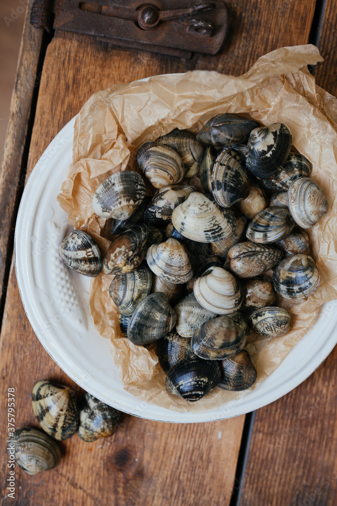 Clams in a white plate Clams in a white plate