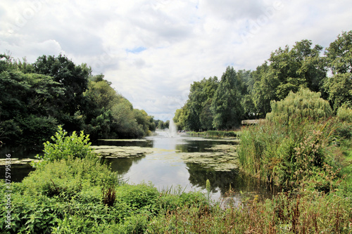 view of the park of the palace