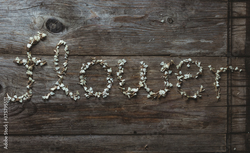 Flower petals spelling the word flower