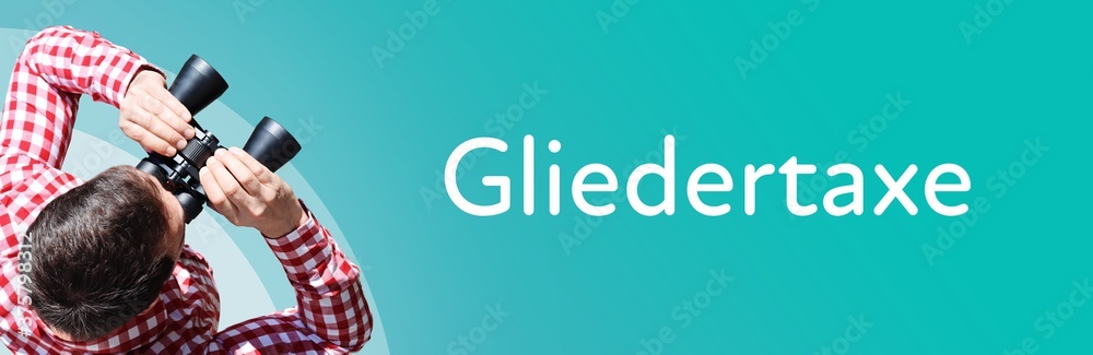 Fototapeta premium Gliedertaxe. Mann bei Beobachtung mit Fernglas. Fokus auf Text/Wort. Panorama Format. Hintergrund blau/türkis.