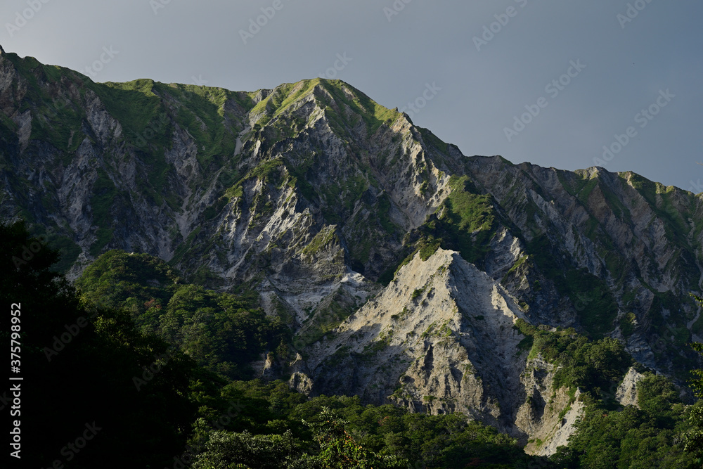 Obraz premium 夏の大山