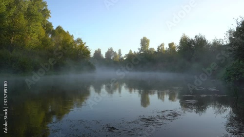 Wallpaper Mural       Summer time. Morning dawn over the river in a hazy, thoughtful haze. Beautiful view of the forest and river covered with fog early in the morning. The sun's rays of light.      Torontodigital.ca