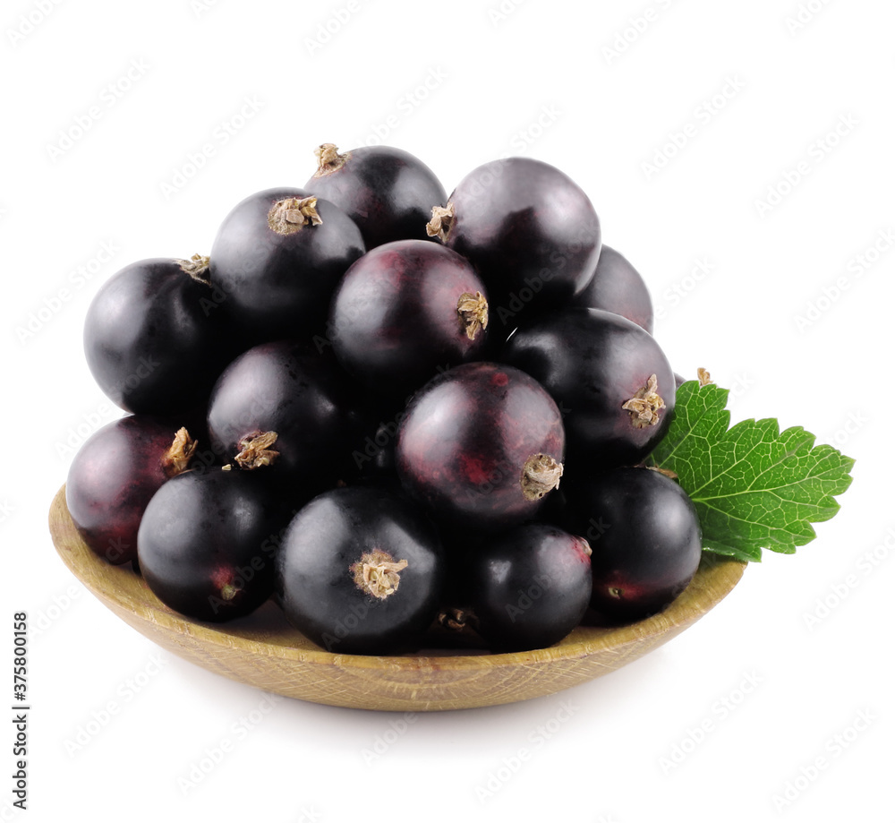 Fototapeta premium Currant berries isolated on white background