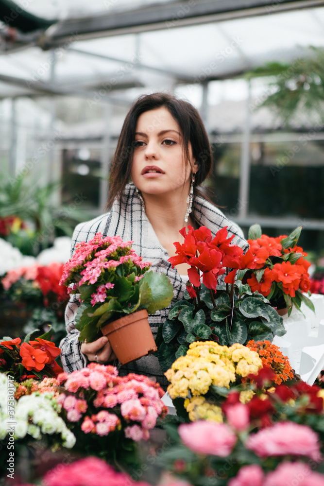 Attractive young woman buying houseplants Attractive young woman buying houseplants