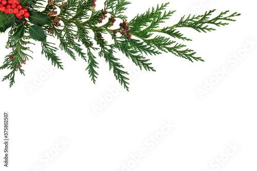 Winter holly & cedar cypress background border on white background. Natural greenery design for Christmas & New Year. Flat lay, top view, copy space. 