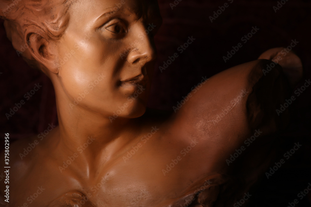 Ritratto di giovane uomo, primo piano di testa in terracotta di provenienza europea, scultura su fondo scuro con spazio per testo Ritratto di giovane uomo, primo piano di testa in terracotta di provenienza europea, scultura su fondo scuro con spazio per testo