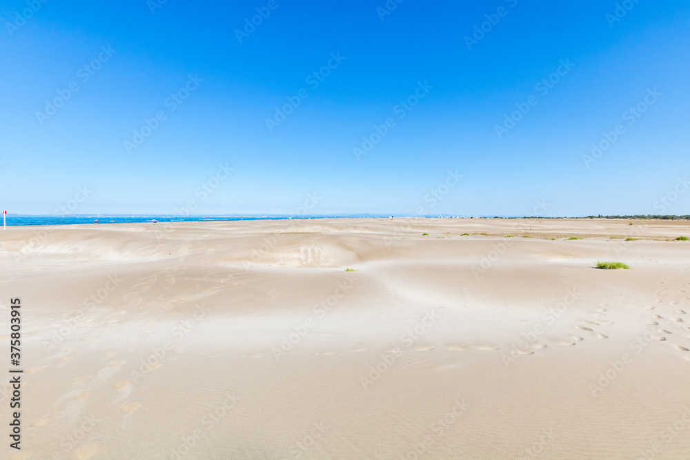 Paysage de dunes de sable à la pointe de l'Espiguette sur la côte méditerranéenne (Occitanie, France)