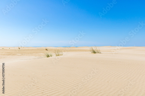 Foto Paysage de dunes de sable à la pointe de l'Espiguette sur la côte méditerranéenn