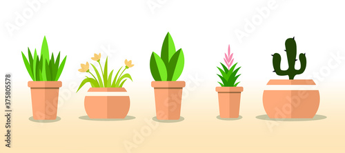Cute Plants in Cute Mud Pots Flat vector illustration Mud Pots Set 