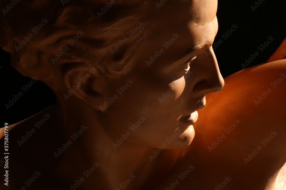 Ritratto di giovane uomo, primo piano di testa in terracotta di provenienza europea, scultura su fondo scuro
