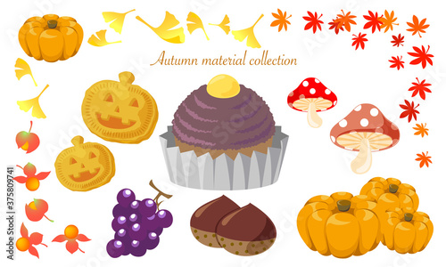 秋の食べ物コレクション／Autumn food collection