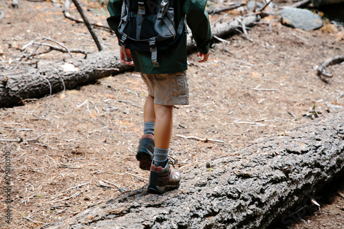 Young adventurer and explorer walking on a fallen log in the woods photo