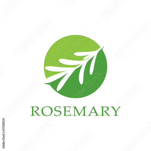 rosemary leaf vector logo illustration template