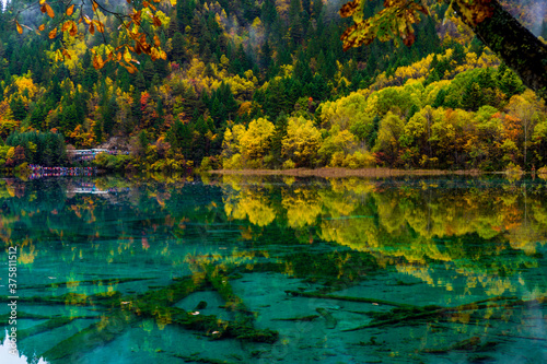 Fototapeta Naklejka Na Ścianę i Meble -  Amazing scene of colorful autumn and reflection with water in Jiuzhaigou National Park, Sichuan Province, China. UNESCO as a World Heritage Site.