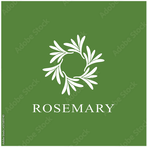 rosemary leaf vector logo illustration template