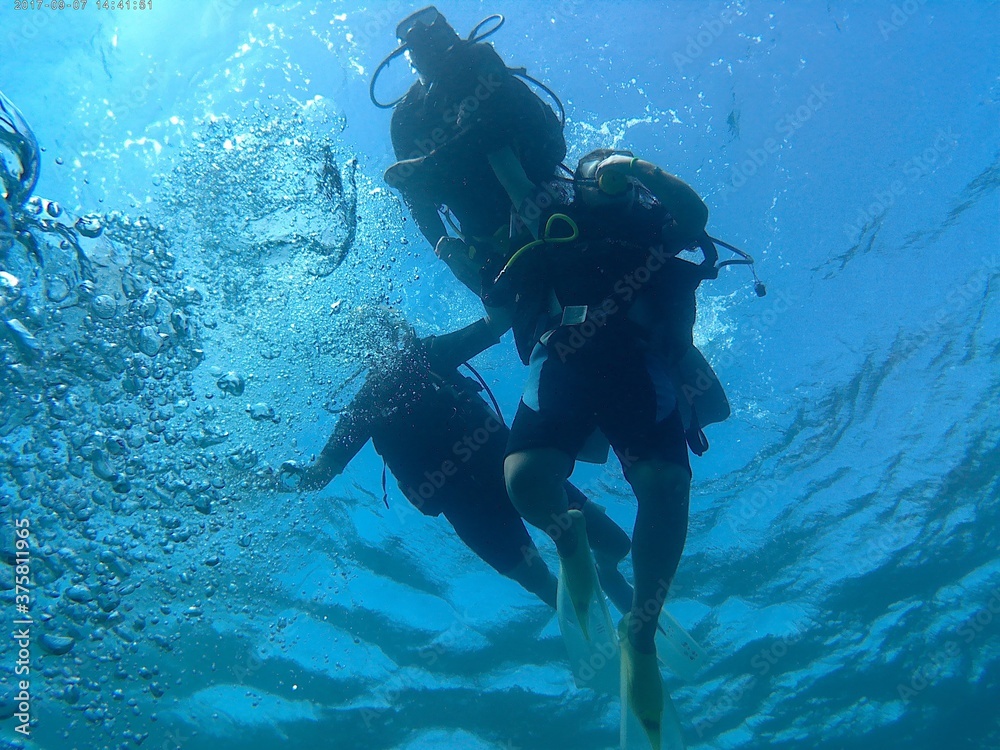 custom made wallpaper toronto digitalkd