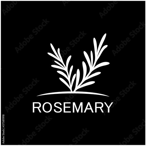 rosemary leaf vector logo illustration template