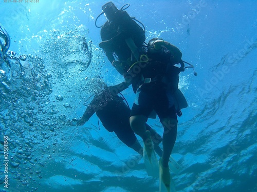 Wallpaper Mural kd Torontodigital.ca