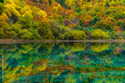 Amazing scene of colorful autumn and reflection with water in Jiuzhaigou National Park, Sichuan Province, China. UNESCO as a World Heritage Site.