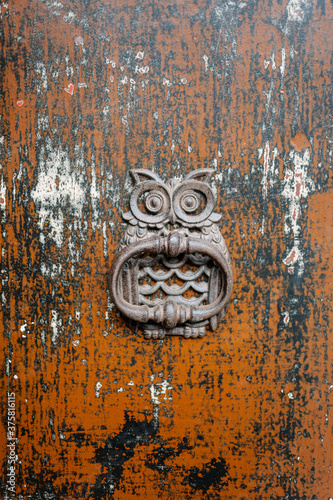 Owl door knocker on rustic door.