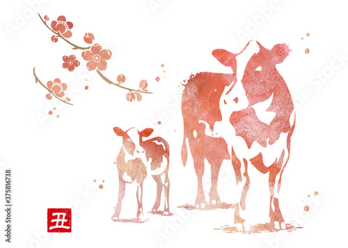 2021年　丑年　年賀状　水彩　素材
