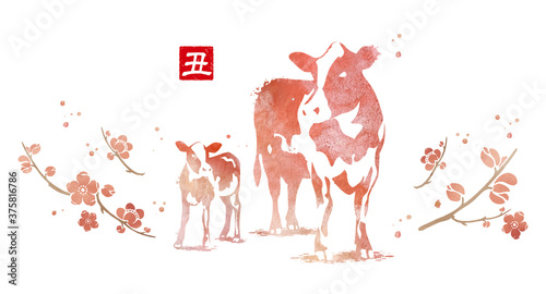 2021年　丑年　年賀状　水彩　素材
