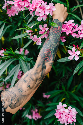 Tattooed arm reaching up through a flower bush photo