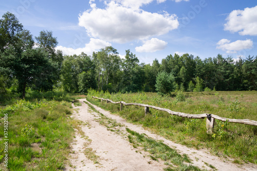 Weg durch das Naturschutzgebiet Venner Moor, Senden, Münsterland, Nordrhein-Westfalen, Deutschland, Europa