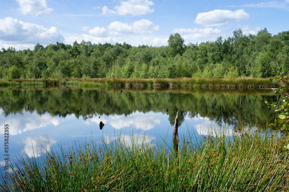 Naturschutzgebiet Venner Moor, Senden, Münsterland, Nordrhein-Westfalen, Deutschland, Europa