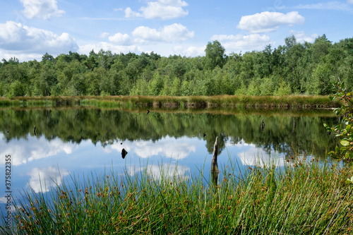 Naturschutzgebiet Venner Moor, Senden, Münsterland, Nordrhein-Westfalen, Deutschland, Europa