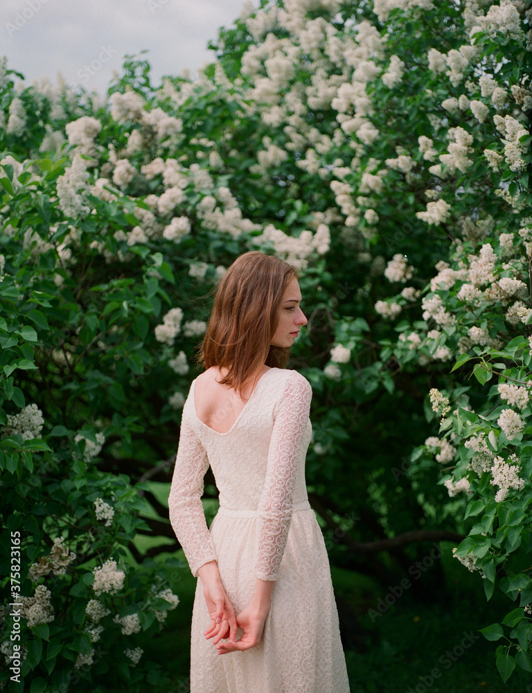 Back view of the beautiful woman wearing white dress among lilac Back view of the beautiful woman wearing white dress among lilac