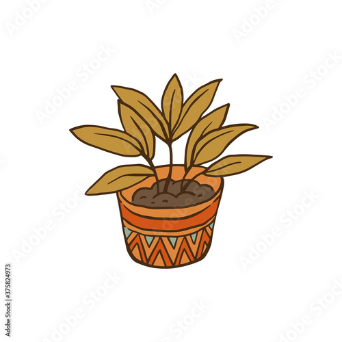 Green house plant in decorative pot - cartoon drawing of houseplant