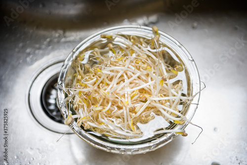 Washed bean spouts soaking in water in sink