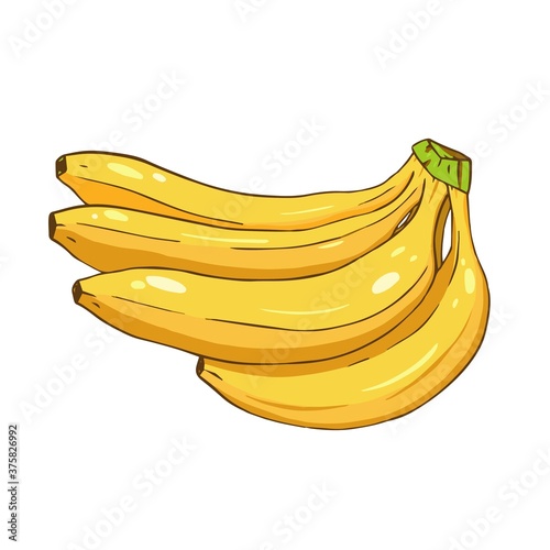 Cartoon yellow bunch of bananas. Doodle lines color banana. 