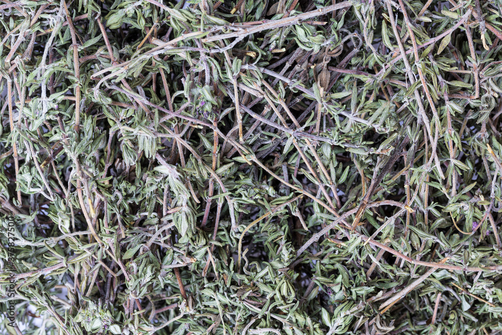 Thyme background Thyme background