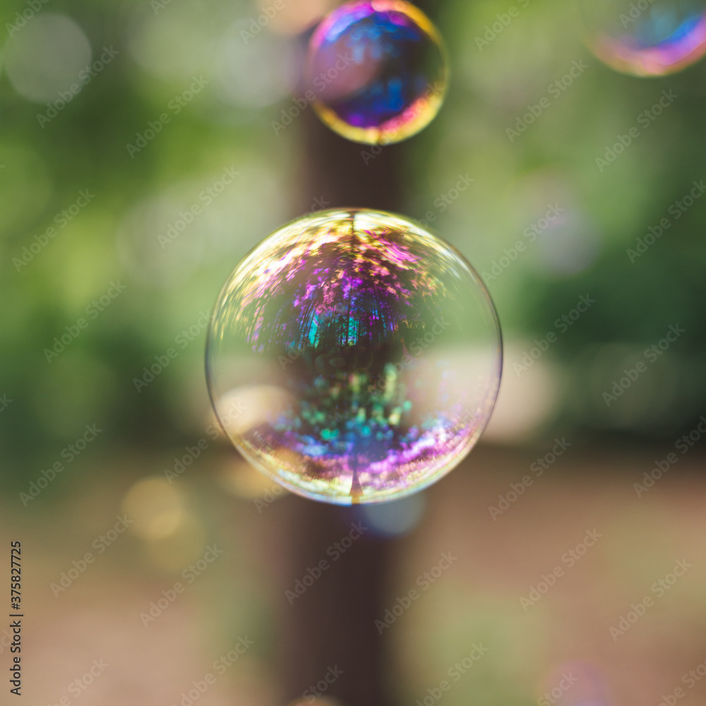 Forest reflection in soap bubble Forest reflection in soap bubble