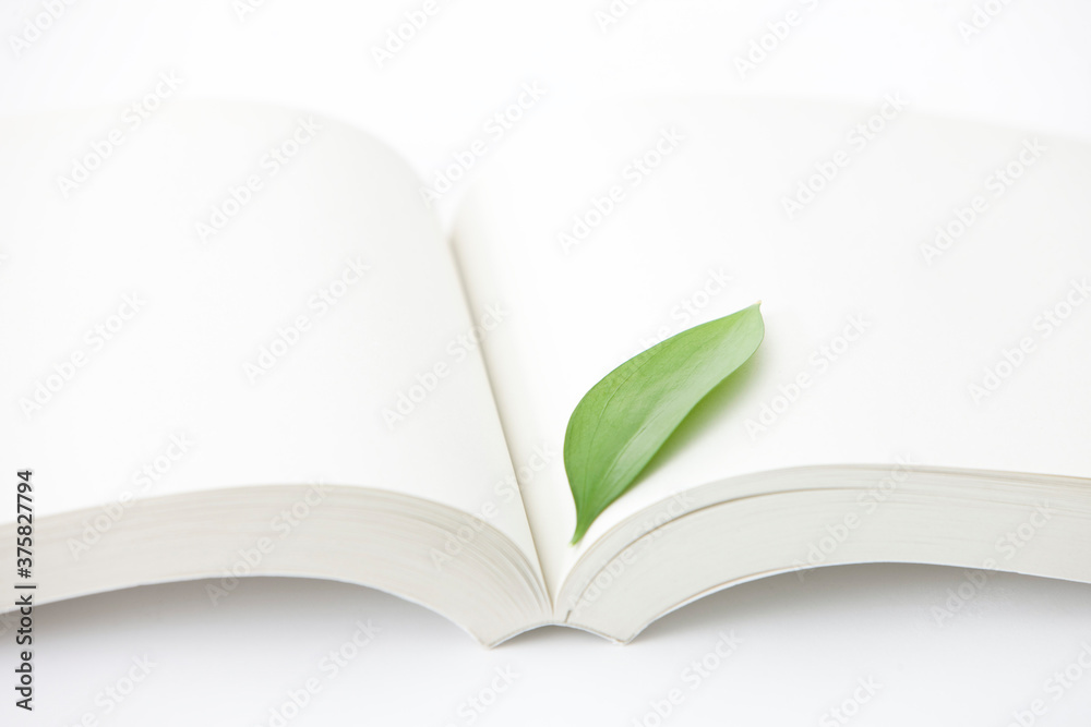 opened book and leaf opened book and leaf