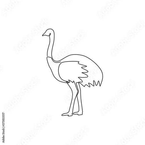 Single continuous line drawing of large ostrich for logo identity. Long necked bird mascot concept for national zoo icon. Modern one line draw graphic design vector illustration
