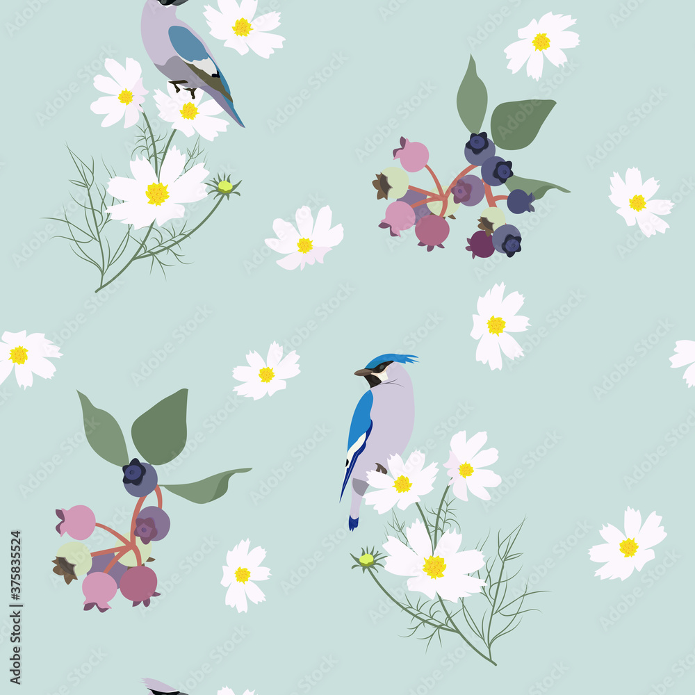 Vector seamless illustration with blueberry, kosmeja and bird waxwing