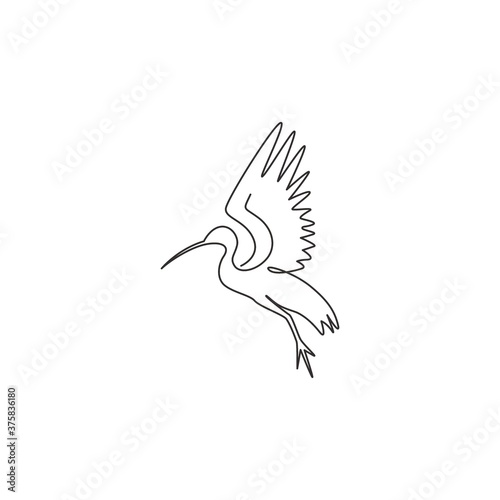 One single line drawing of adorable ibis for foundation logo identity. Long down curved beak bird mascot concept for conservation park icon. Modern continuous line draw design vector illustration photo