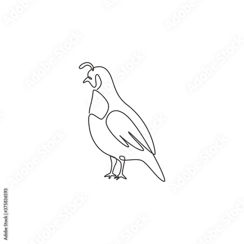 One single line drawing of adorable California valley quail for poultry logo identity. Dust bath bird mascot concept for national zoo icon. Modern continuous line draw design vector illustration