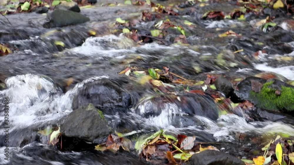 A water cascade in autumn creek with fallen leaves, close up. Water flows around the stones in the river. A water cascade in autumn creek with fallen leaves, close up. Water flows around the stones in the river.
