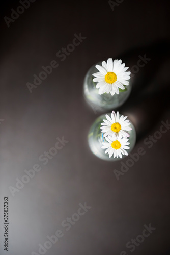 Pretty Fresh White and Yellow Daisies on Two Glass Bottles on Gray Table photo