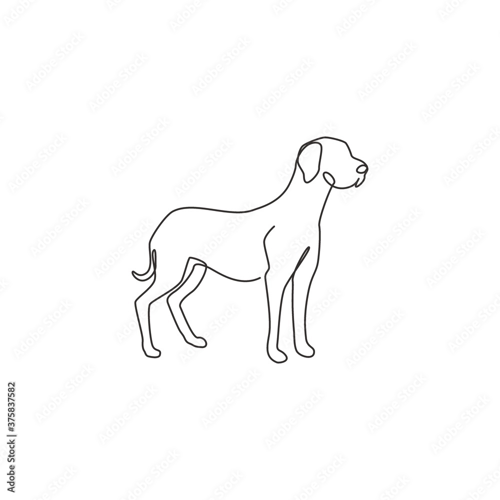 One continuous line drawing of dashing great dane dog for security company logo identity. Purebred dog mascot concept for pedigree friendly pet icon. Modern single line draw design vector illustration - obrazy, fototapety, plakaty 