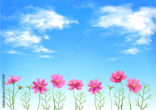 Vector illustration of cosmos and blue sky in daytime.