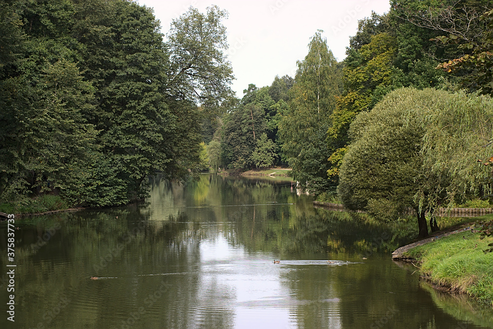 pond in a forest park on the outskirts of the city