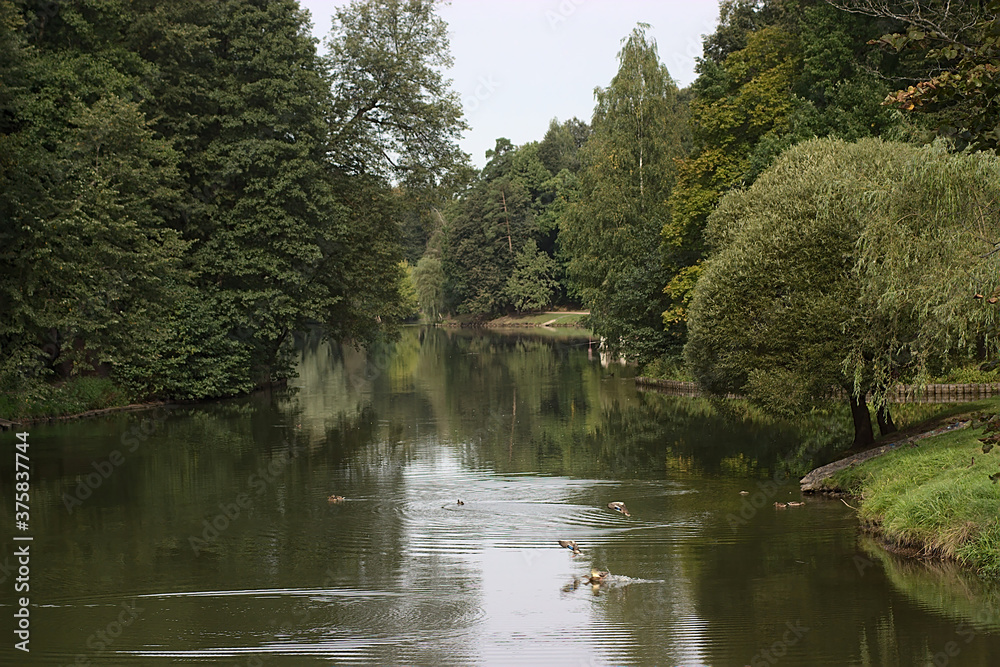 pond in a forest park on the outskirts of the city