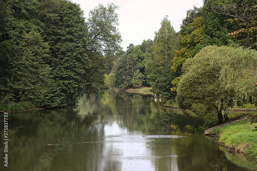 pond in a forest park on the outskirts of the city